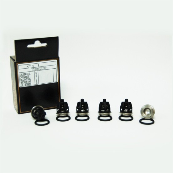 KIT 1 VALVULAS INTERPUMP